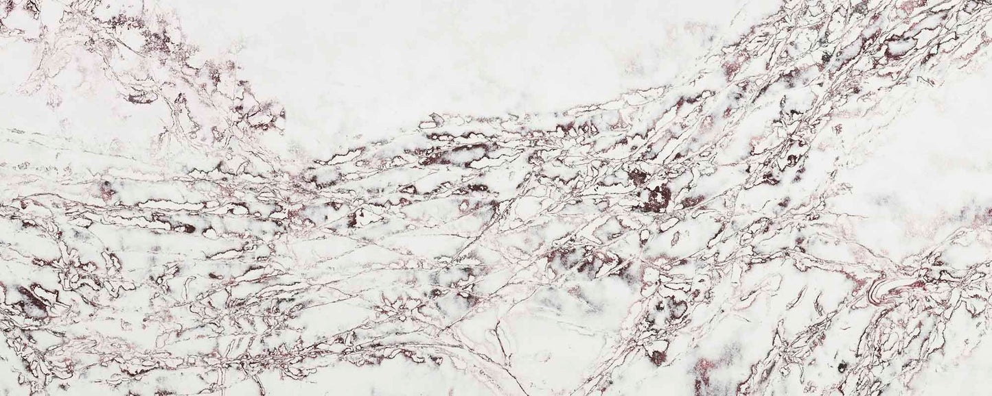 Ice Max Viola