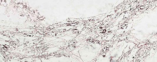 Ice Max Viola