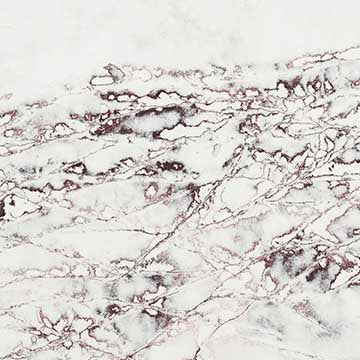 Ice Max Viola